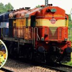 रेलवे का नियम: स्लीपर में 40 और जनरल में 35 किलो तक सामान फ्री, सफर से पहले जान लें वजन की लिमिट