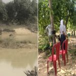 नहाने के दौरान बड़े हाथी के नीचे दबा शावक, रायगढ़ में 5 महीने में 8वीं मौत