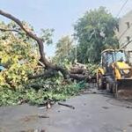 यूपी में बदला मौसम का मिजाज, तेज आंधी-तूफान से 96 लोगों की हुई मौत, भदोही और प्रयागराज में भी कई लोगों ने गवाई अपनी जान