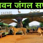 भीषण गर्मी का असर: नवा रायपुर की ‘जंगल सफारी’ दो दिनों के लिए बंद, वन्यजीवों की सुरक्षा को लेकर बड़ा फैसला
