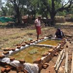 जैविक खेती की ओर बढ़ रहे किसान, नील हरित शैवाल से सुधर रही मिट्टी की सेहत