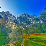 विश्व पर्यावरण दिवस 2026 : हरित विकास, जल संरक्षण और जनभागीदारी से पर्यावरणीय समृद्धि की ओर बढ़ता छत्तीसगढ़