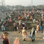 मनरेगा अंतर्गत प्रदेश में प्रतिदिन 11 लाख से अधिक श्रमिकों को रोजगार, 57 प्रतिशत महिलाएं