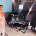 बिहान योजना और पशुपालन प्रोत्साहन योजना से सरस्वती पैंकरा को मिला नया जीवन संबल