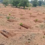 ‘मोर गांव-मोर पानी’ अभियान से जल संरक्षण बना जनआंदोलन, रोजगार और ग्रामीण समृद्धि को मिली नई गति