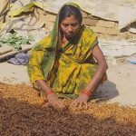 फोटो कॉपी और मशरूम एवं महुआ व्यवसाय से बबली यादव की किस्मत बढ़ी आय