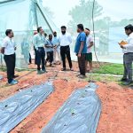 राष्ट्रीय बागवानी मिशन के तहत ऑयल पाम, शेडनेट हाउस एवं अंतरवर्ती खेती से बढ़ा किसानों का मुनाफा