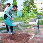 मातृत्व वन में लक्ष्मीतरु का पौधा लगाकर दिया पर्यावरण संरक्षण और मातृ सम्मान का संदेश- प्रभारी सचिव आनंद