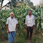 आधुनिक खेती की ओर कदम : नैनो उर्वरक और स्वीट कॉर्न ने बदली रामचंद्र की किस्मत