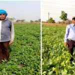 बेमेतरा जिले में दलहन के रकबे में चार गुना की वृद्धि-किसान इंद्रकुमार