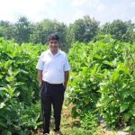 ग्राफ्टेड बैंगन की खेती से बदली किसान क्रांति कुमार की तकदीर, प्रति एकड़ 6.50 लाख रुपये तक शुद्ध लाभ