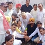 वृक्षारोपण, मंदिर-गुरुद्वारा-चर्च-बुद्ध विहार में प्रार्थना राहुल गांधी का जन्मदिन मनाया गया वोरा भी हुये शामिल
