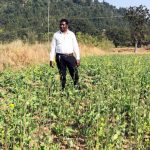 जशपुर में दिखा पीएम धन-धान्य कृषि योजना: मक्के की बंपर खेती ने बदली किसान सुधीर लकड़ा की किस्मत