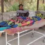मधुमक्खियों का जानलेवा हमला: सास की मौत, जिंदगी की जंग लड़ रहा दामाद