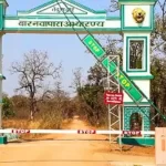 बारनावापारा अभयारण्य में नियमों का पालन, सफारी मार्ग से आवागमन नहीं होने की पुष्टि