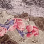 हाथी का तांडव: मनेन्द्रगढ़ टाइगर रिजर्व में दो मज़दूरों को कुचला, मौत से इलाके में दहशत