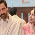 तेरे बिन ने 5 अरब व्यूज के साथ रचा इतिहास, लेकिन सीज़न 2 पर मेकर्स की चुप्पी से भड़के फैंस