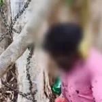 बुजुर्ग ने पेड़ में लगाई फांसी, मानसिक तनाव के चलते दे दी जान