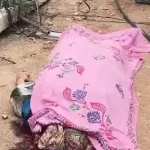बिजली खंभा से गिरने से आंगनबाड़ी कार्यकर्ता की दर्दनाक मौत