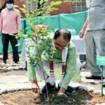 केंद्रीय कृषि मंत्री शिवराज सिंह चौहान ने World Environment Day पर पौधे लगाए