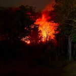 पर्यावरण दिवस पर क्रूर मज़ाक: एक तरफ़ पौधरोपण के दावे, दूसरी तरफ़ धधकती रही बांसला की पहाड़ी