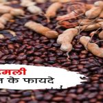 खट्टी-खट्टी इमली का बीज भी है सेहत का खजाना: फेंकने की भूल करने से पहले जान लीजिए इसके ये जादुई फायदे