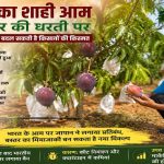 एलआर स्पेशल: बस्तर में उगा ‘सोने से भी महंगा’ जापानी आम, क्या मियाज़ाकी लिखेगा किसानों की नई सफलता की कहानी?