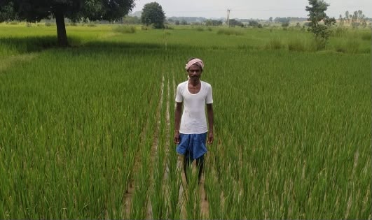 खगपति ने बदला खेती का तरीका, पारंपरिक से आधुनिक कृषि अपनाकर की अपनी आय  दोगुनी – अमृत संदेश