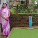 तालाबों और जलाशयों में उगने वाली अजोला बनी आजीविका और प्राकृतिक खेती का आधार
