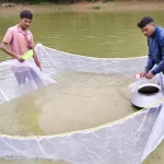स्पान संवर्धन योजना से महिला किसान की बदली तस्वीर, दो माह में कमाए 15 हजार