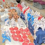 राजधानी में पोला धूमधाम से मनाया गया