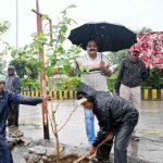 कोरबा में ‘एक पेड़ मां के नाम’ अभियान के तहत हुआ वृक्षारोपण, हरित कोरबा का लिया संकल्प