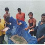 महासमुंद में मत्स्य पालन बना किसानों की अतिरिक्त कमाई का जरिया, 150 किसान योजना से जुड़े
