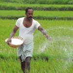 प्रदेश में अब तक किसानों को 13.04 लाख मीट्रिक टन उर्वरकों का वितरण