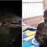 जान बचाने के लिए दिखाई गजब की बहादुरी , तेंदुए ने किया हमला तो 10 साल के बच्चे ने दबा दिया उसका गला